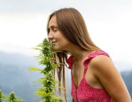 10 Fun Things to Do with Marijuana