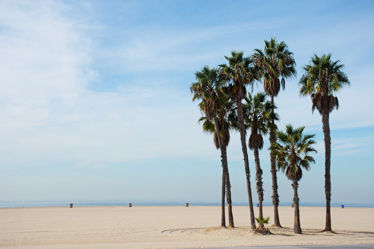 Santa Monica State Beach