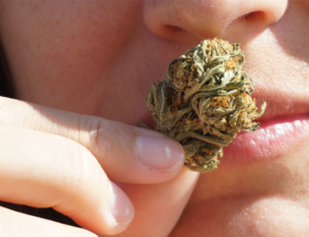 THC-O