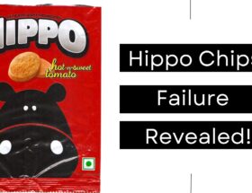 Hippo Chips Failure Revealed!