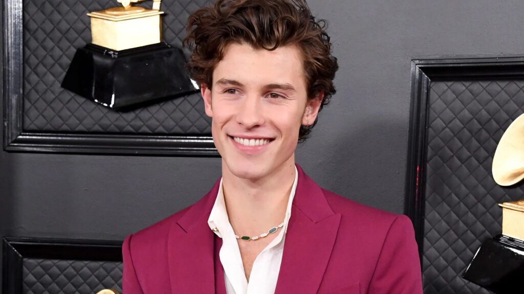 Shawn Mendes' Distinctive Hair