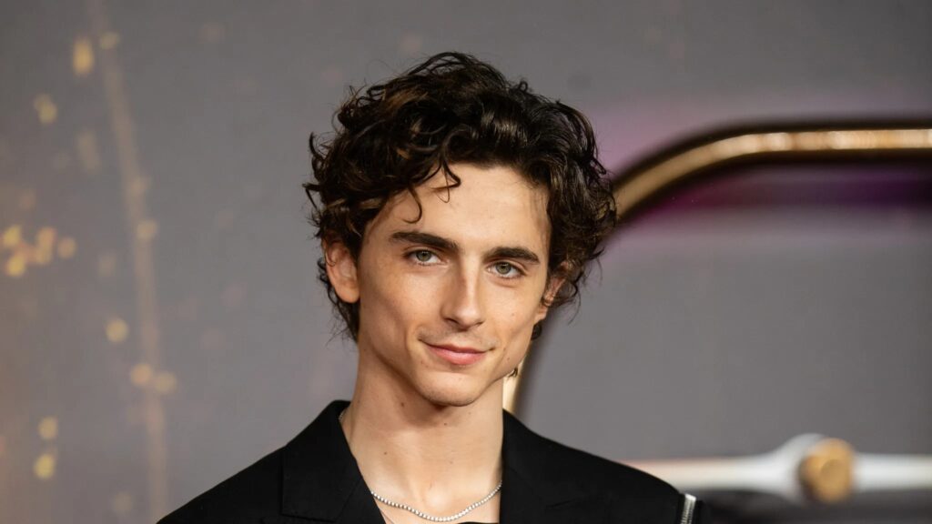 Timothee Chalamet's Exquisite Flowing Hair