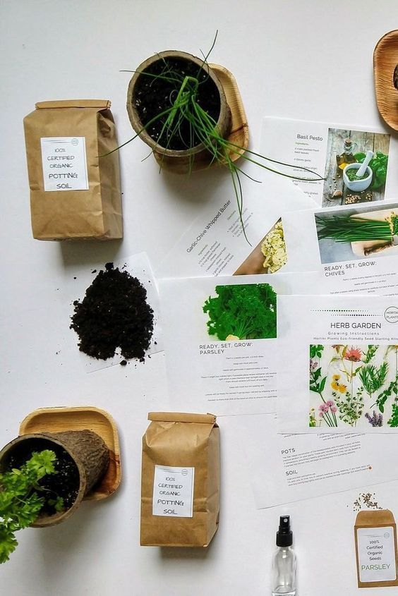 Herb Garden Kit