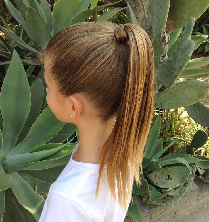 Sleek Low Ponytail