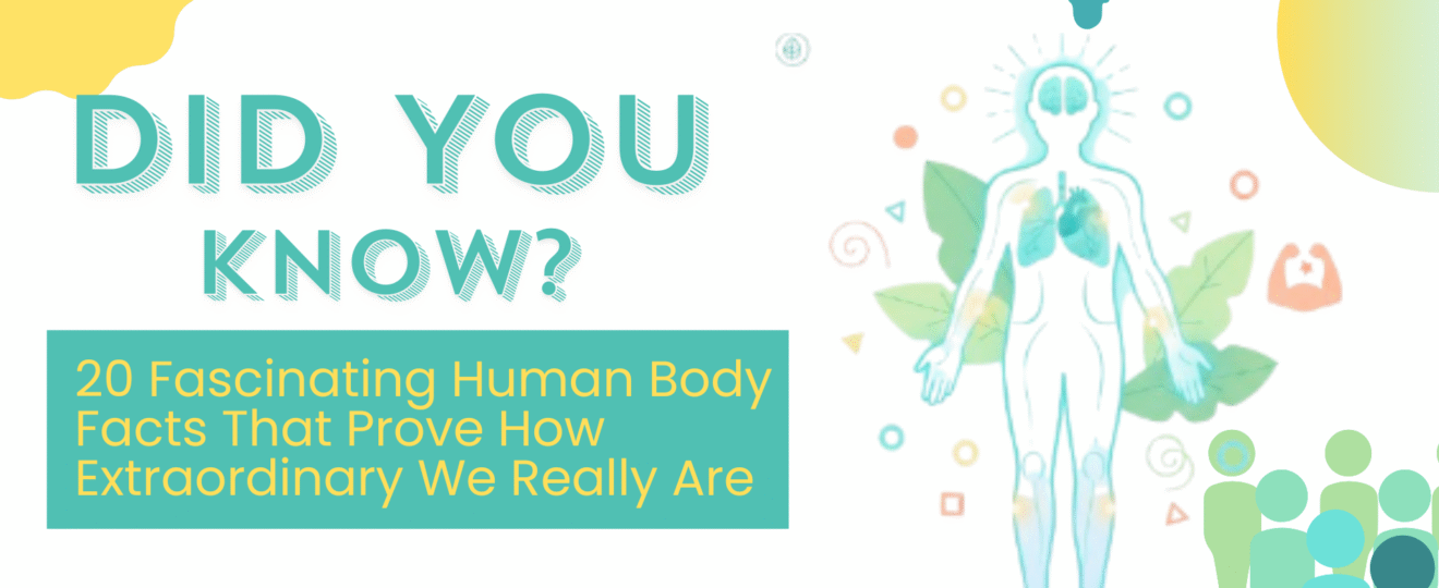20 Fascinating Human Body Facts That Prove How Extraordinary We Really Are