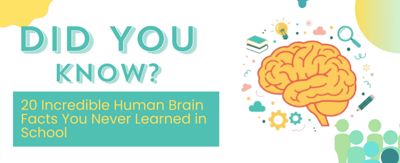 20 Incredible Human Brain Facts You Never Learned in School