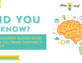 20 Incredible Human Brain Facts You Never Learned in School