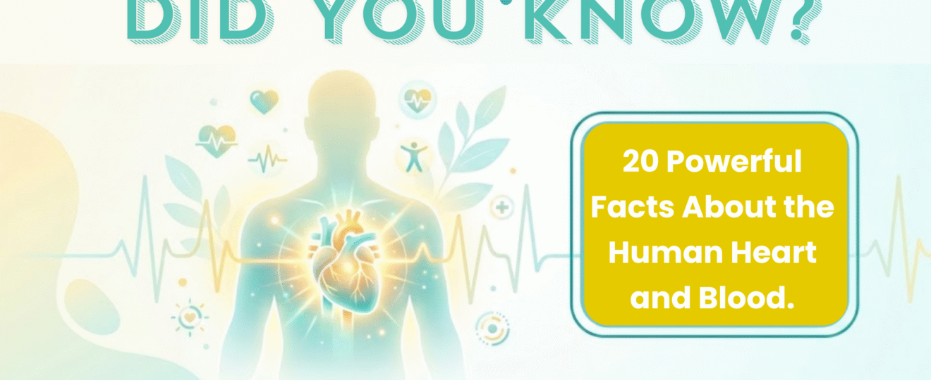20 Powerful Facts About the Human Heart and Blood.