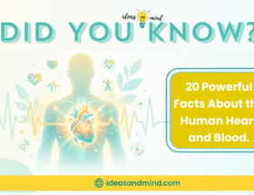 20 Powerful Facts About the Human Heart and Blood.