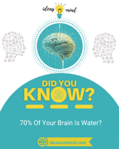 Did You Know 70% Of Your Brain Is Water
