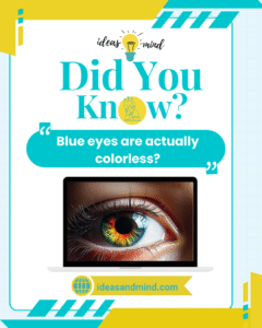 Did you know New borns see only black, white, and gray