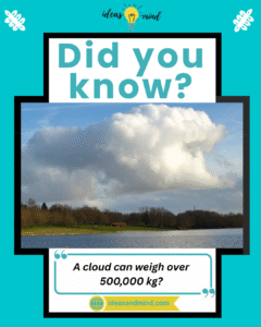 Did you know a cloud can weigh over 500,000 kg