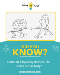 Did you know gratitude physically rewires the brain for positivity