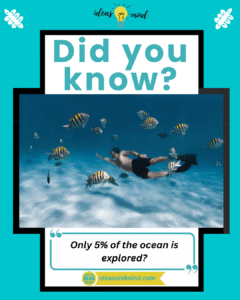 Did you know only 5% of the ocean is explored