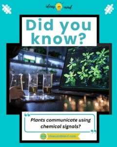 Did you know plants communicate using chemical signals