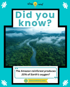 Did you know the Amazon rainforest produces 20% of Earth’s oxygen