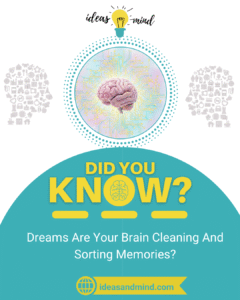 Did You Know Dreams Are Your Brain Cleaning And Sorting Memories