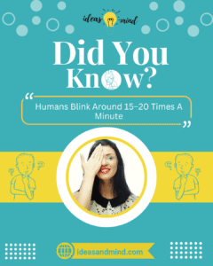 Did You Know Humans Blink Around 15–20 Times A Minute