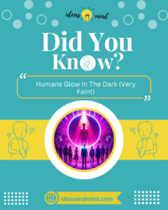 Did you know Humans Glow In The Dark (Very Faint)