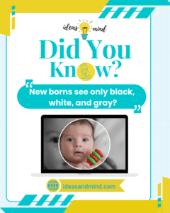 did you know New borns see only black, white, and gray