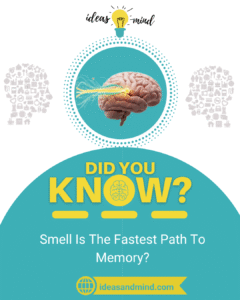 Did you know Did you know Laughter Activates Multiple Areas of Your Brain