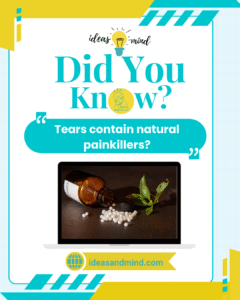 Did you know The human eye sees upside down—your brain flips the image