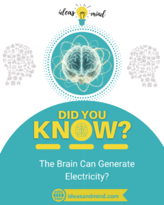 Did You Know The Brain Can Generate Electricity