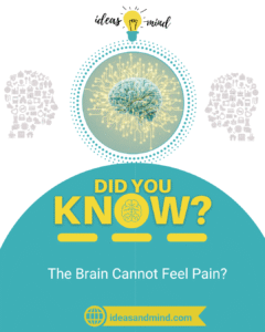 Did You Know The Brain Cannot Feel Pain