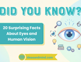 20 Surprising Facts About Eyes Vision