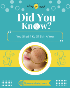 Did You Know You Shed 4 Kg Of Skin A Year