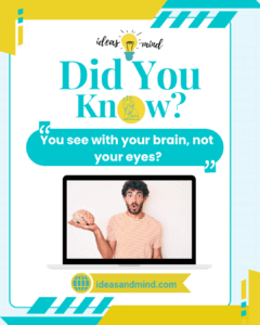 Did you know You see with your brain, not your eyes