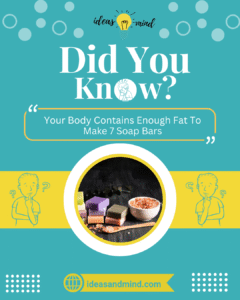Did You Know Your Body Contains Enough Fat To Make 7 Soap Bars