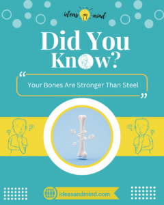 Did You Know Your Bones Are Stronger Than Steel