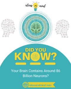 Did You Know Your Brain Contains Around 86 Billion Neurons