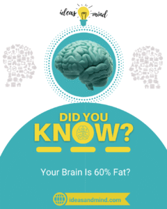Did You Know Your Brain Is 60% Fat.