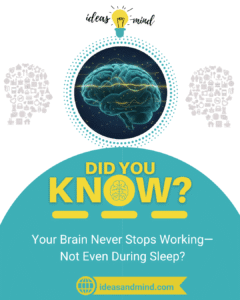 Did You Know Your Brain Never Stops Working—Not Even During Sleep