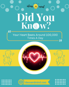 Did You Know Your Heart Beats Around 100,000 Times A Day
