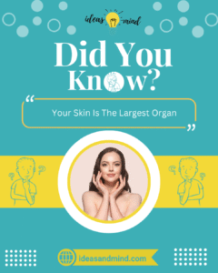 Did You Know Your Skin Is The Largest Organ