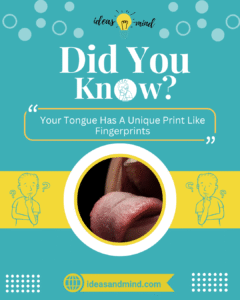 Did You Know Your Tongue Has A Unique Print Like Fingerprints