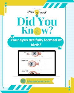 Did you know your eyes are fully formed at birth