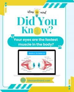 Did you know your eyes are the fastest muscle in the body