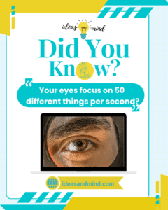 Did you know your eyes focus on 50 different things per second?