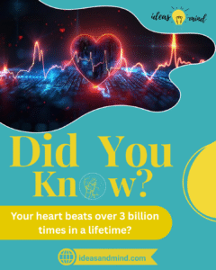 Did you know Your heart beats over 3 billion times in a lifetime (2)