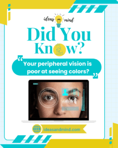 Did you know Your peripheral vision is poor at seeing colors