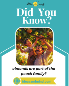 did you know almonds are part of the peach family