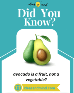 Did you know avocado is a fruit, not a vegetable