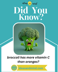 did you know broccoli has more vitamin C than oranges
