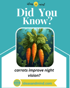 did you know carrots improve night vision
