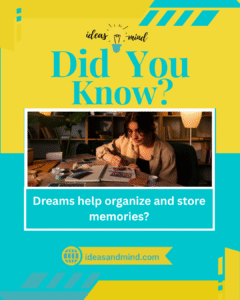 did you know dreams help organize and store memories