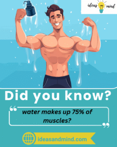 Did you know water makes up 75% of muscles?
